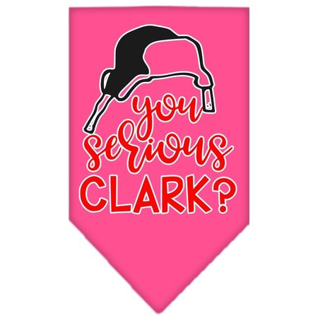 MIRAGE PET PRODUCTS You Serious Clark Screen Print BandanaBright Pink Large 66-425 LGBPK